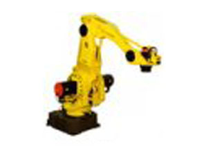 Fanuc Robot M-410/420iA/430iA Series